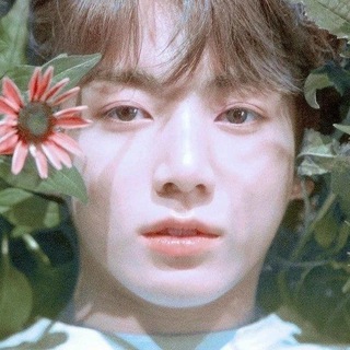 Telegram profile photo for paper 집 jip