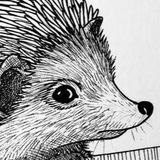 Telegram profile photo for Ежиная нора