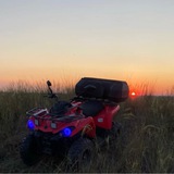 Telegram profile photo for quad bike🐊