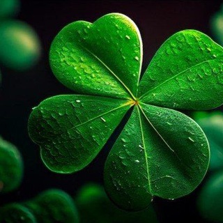 Telegram profile photo for 🍀🍀🍀LUCKY CHAT🍀🍀🍀