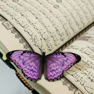Telegram profile photo for نُور قلبي الله.