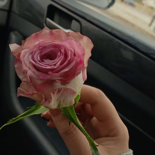 Telegram profile photo for عيناً للعين