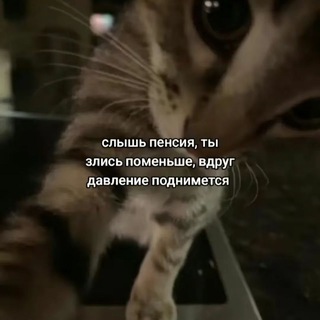 Telegram profile photo for Выплаты Звезды от Фастера