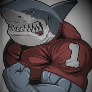 Telegram profile photo for Trading Shark №1