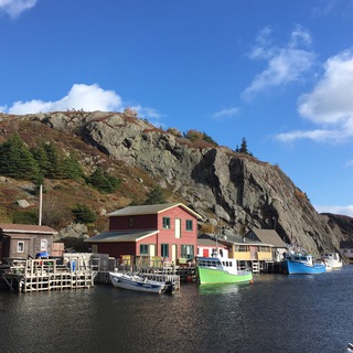 Telegram profile photo for New Newfoundlander