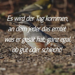 Telegram profile photo for SPRÜCHE UND ZITATE ALS INSPIRATION 💬💭