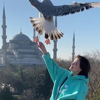 Telegram profile photo for ЗА ЭНЕРГИЕЙ К ПАНФЁРОВОЙ🔥