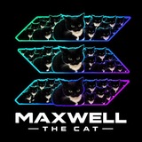 Telegram profile photo for Maxwell The Cat ~ $MAXWELL