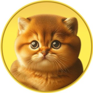 Telegram profile photo for Passionate kitten (PTM) official channel