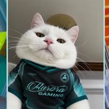 Telegram profile photo for берлога acol1xa