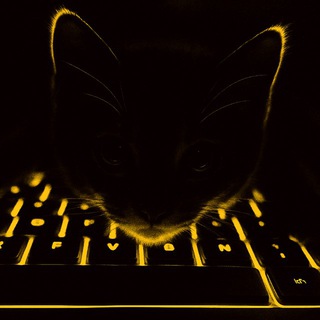 Telegram profile photo for Gift Intelligence