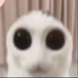 Telegram profile photo for NEARIN | INT ARCHIVE
