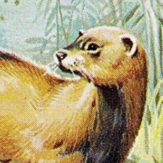 Telegram profile photo for Пивной грифель.2
