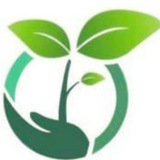 Telegram profile photo for Steady Compounding