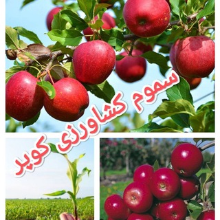 Telegram profile photo for کشاورزی پیرانشهر ( کوپر)