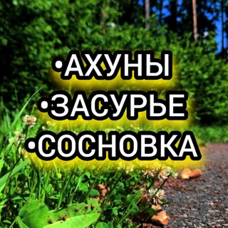 Telegram profile photo for АХУНЫ-ЗАСУРЬЕ-СОСНОВКА