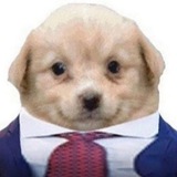 Telegram profile photo for тайное общество здравомыслящих людей