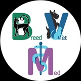Telegram profile photo for BrEEdМедВет