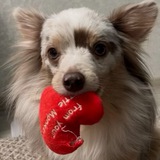 Telegram profile photo for людик
