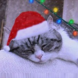 Telegram profile photo for ๐ ะัะทัะฒั Colden ๐