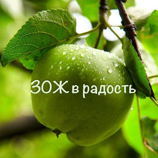 Telegram profile photo for 🍏ЗОЖ в радость🌼