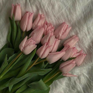 Telegram profile photo for زَهْــرَاء.