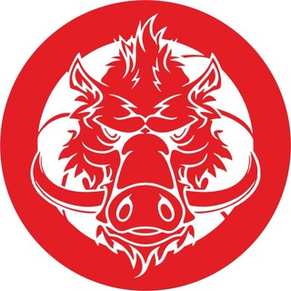 Telegram profile photo for «Вепрь» | Баскетбольный клуб