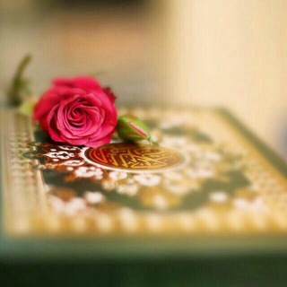 Telegram profile photo for القـرآن نبـض قلبـ💘ـي