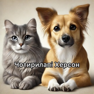 Telegram profile photo for Чотирилапі | Херсон