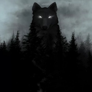 Telegram profile photo for Лисьи топи