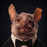 Telegram profile photo for Хаос.Дайджест