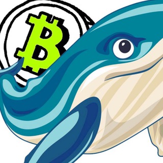 Telegram profile photo for Bitcoin Whales Feedback