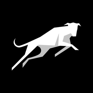 Telegram profile photo for Astro Hounds | Official