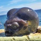 Telegram profile photo for $Alien CTO Portal