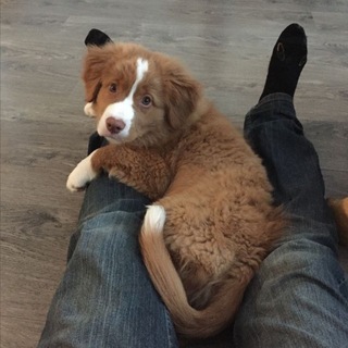 Telegram profile photo for “buблек home Hotline¡!