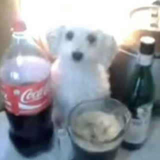 Telegram profile photo for сорри бебе