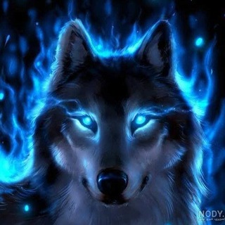 Telegram profile photo for wolf🐺market📈گرگ بازار