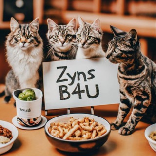 Telegram profile photo for Zyn Vouches