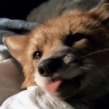 Telegram profile photo for с любовью, R.
