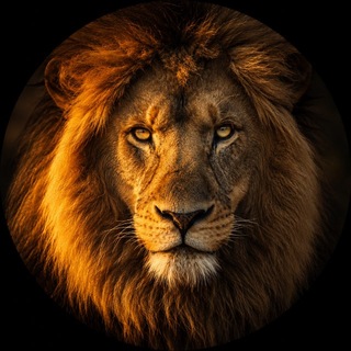 Telegram profile photo for Animal Kingdom 🦁