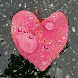 Telegram profile photo for جزع در عشق نهان