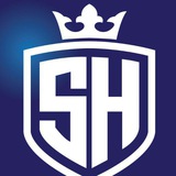 Telegram profile photo for Solvy Heroes Official