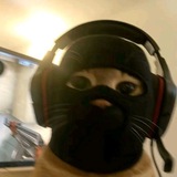 Telegram profile photo for klinton