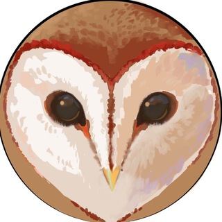 Telegram profile photo for Solren