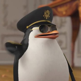 Telegram profile photo for skipper🤡