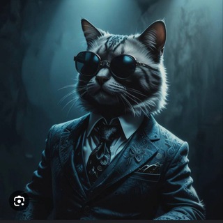 Telegram profile photo for Arif Reed
