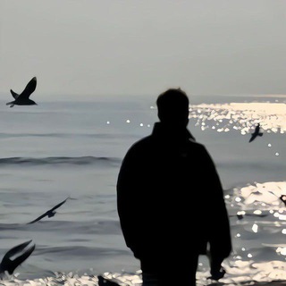 Telegram profile photo for 梦二稳定收粉