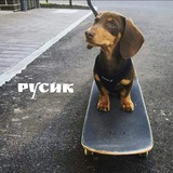 Telegram profile photo for Русик️️️️