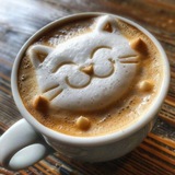 Telegram profile photo for К͟н͟и͟ж͟н͟ы͟й͟ 𝙾𝙲𝚃𝙿𝙾𝙱📚
