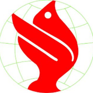 Telegram profile photo for ارزانترین پروازوتور